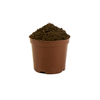 Π Soil Pro: Professional Plant Ideal Mix (Coconut Coir & Pine Bark Scales)