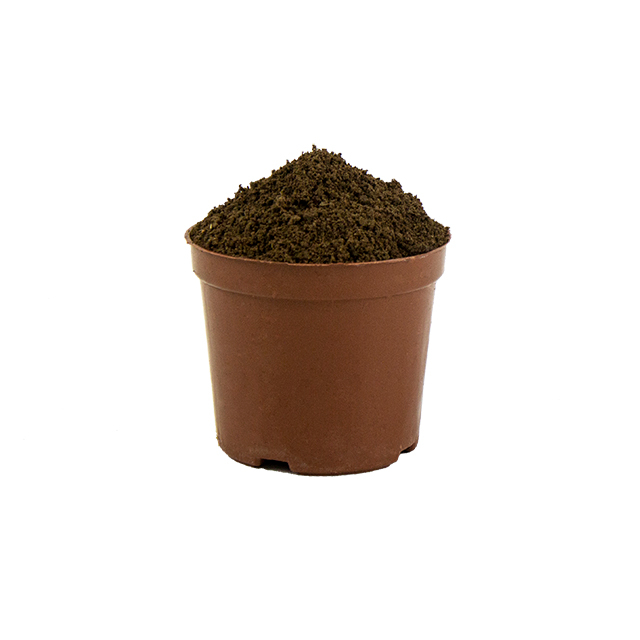 Π Soil Pro: Professional Plant Ideal Mix (Coconut Coir & Pine Bark Scales)