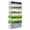 Indoor Automated Vertical Hydroponic Planting Machine for Soilless Cultivation