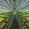 All-Weather Plug-and-Play Forage Container Plant Factory with Stable High-Yield Full Growth Cycle