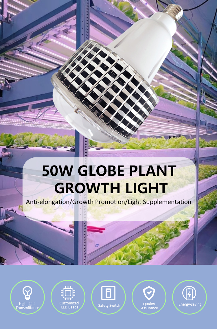 PLANT LIGHT