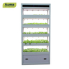 Hydroponic Seedling Raising Machine For Indoor Farming
