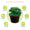 Agricultural Sponge Garden Pots Planters Seed Starter Replacement Sponge for Cutting And Cloning