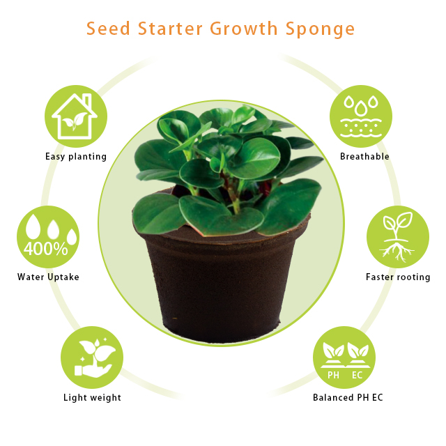 Agricultural Sponge Garden Pots Planters Seed Starter Replacement Sponge for Cutting And Cloning