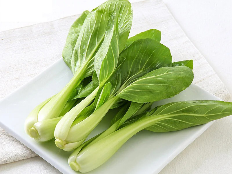Shanghai Green Planting Guide: How To Easily Grow Fresh Greens at Home