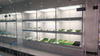 Smart Hydroponic Cultivation And Hydroponic Equipment for Indoor Farming