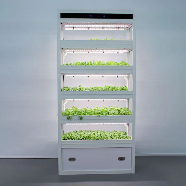Smart seedling cabinet with LED light and spray system