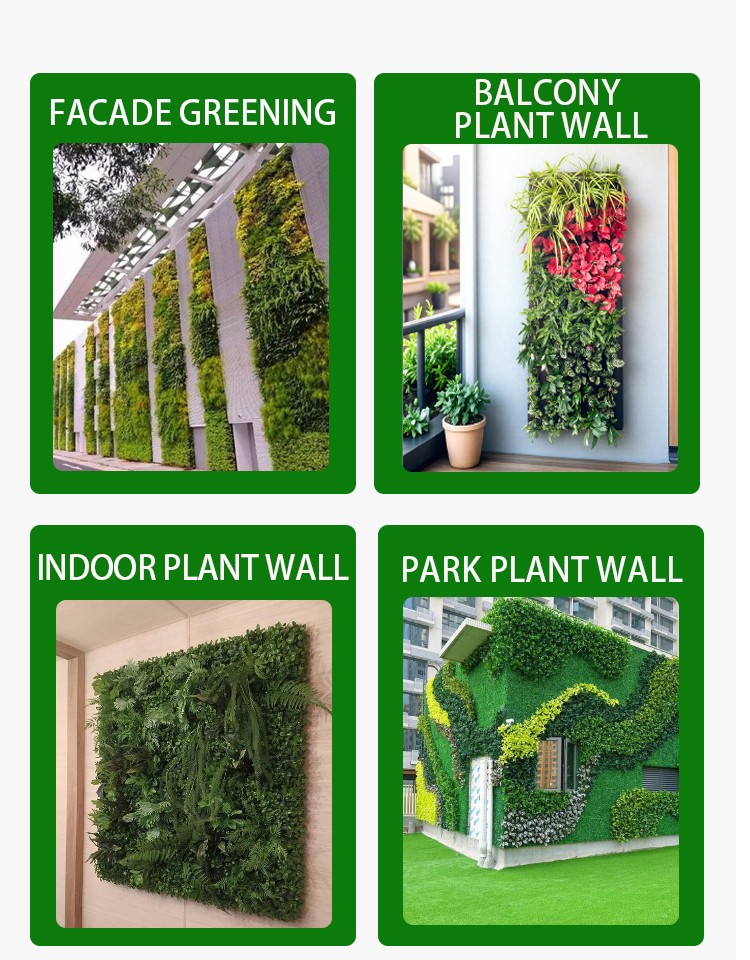 garden plant wall